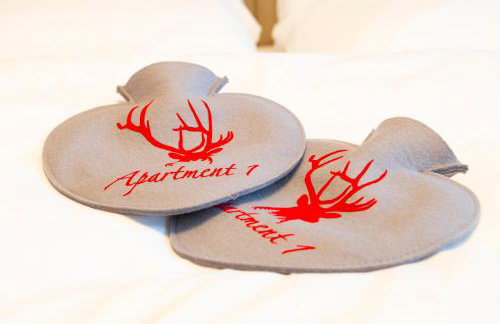 Apartment 1 - Schmiedefeld - klein und fein - Foto 7