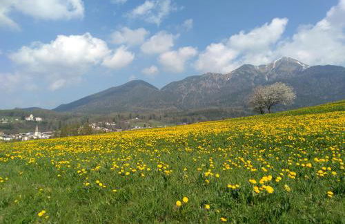 Luigi Apartment - Foto 21