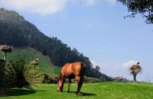 PequeñoCabárceno - Foto 38