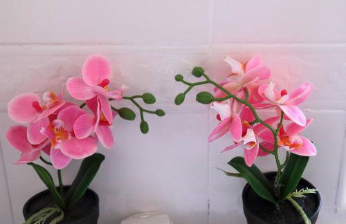 AMORE MÍO Hellín - Foto 30