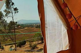 Herdade da Hera - Foto 45