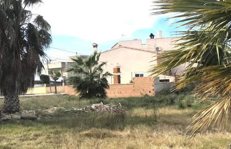 Bertagui Rural - Foto 3