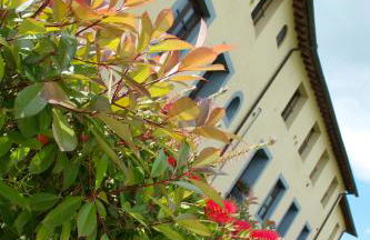 Residence Giuly Rosselmini - Foto 11