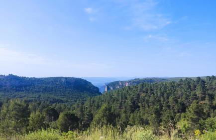 Rincón de Morote - Foto 26