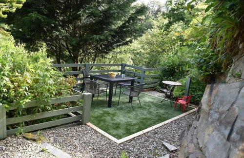 Cosy Cottage overlooking the Teifi Gorge - Foto 42