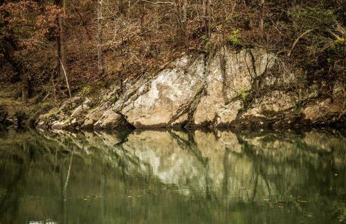 Charming Glamping Rental with Fireplace near Great Smoky Mountains National Park - Foto 29