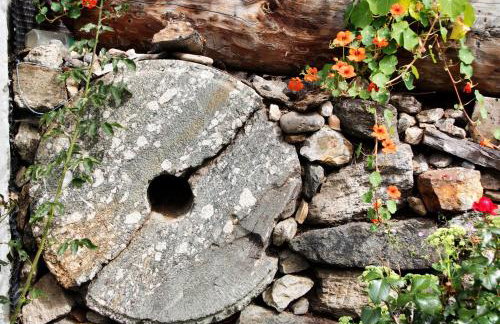 Herrischner Apartement 1 - Photo 32