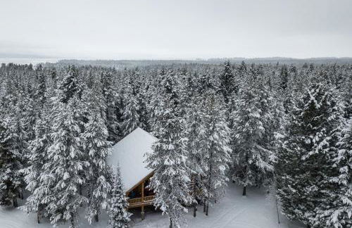 Lumberjack Lodge by KABINO Hot Tub Fire Pit Satellite WiFi Grill Large Porch - Foto 44