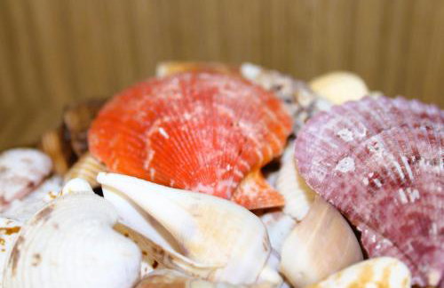 Apto de duas suítes com vista mar - 100 metros da praia em Canasvieiras - Foto 15