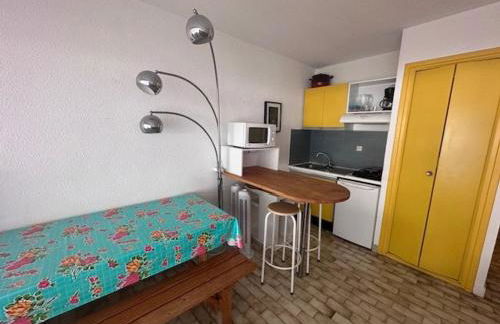 Studio-Cabine 4 Pers, Terrasse, Jardin, Parking, Animaux admis - FR-1-731-99 - Foto 9