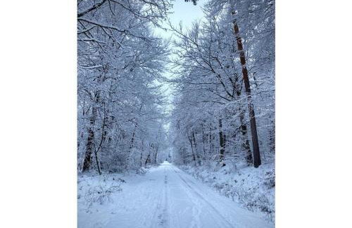 Grimm Comfortable Holiday Residence - Foto 33