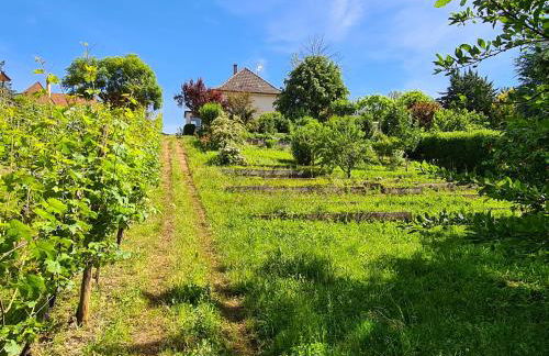 La maison de Paul - Foto 18