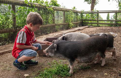 Obst- und Ferienhof Gomeringer - Foto 13