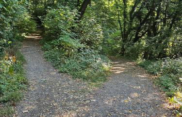 Ferienoase Weitblick - Foto 34