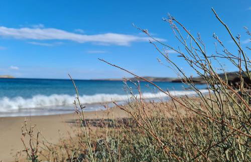 Olivar Suites - Photo 37