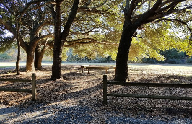 Ocean Pines Resort - Foto 50