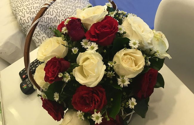 Vung Tau Plaza Design and Cute Apartment - Photo 14