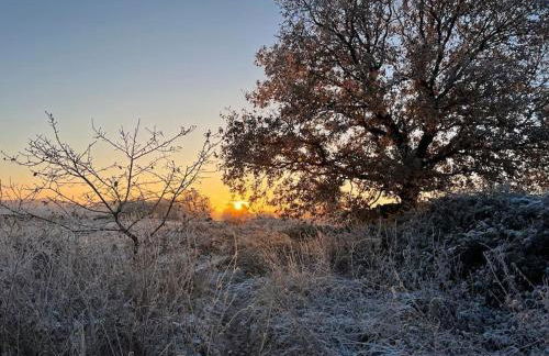 Rosemary cottage -Your Cozy Countryside Escape, Matlock - Foto 54