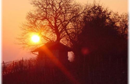 Ferienwohnung Pfrang - Foto 37