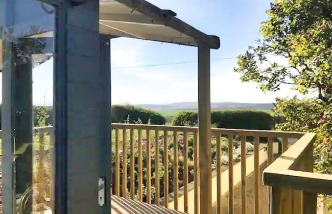 Accessible Bungalow - 4 Beds 2 Baths -dog Friendly - Foto 36