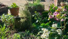 Fishtail House - Stylish Apartments minutes from the sea - Foto 3