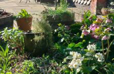 Fishtail House - Stylish Apartments minutes from the sea - Foto 3