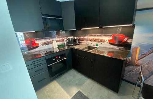 Apartamenty Magia z bezpłatnym parkingiem - Foto 12