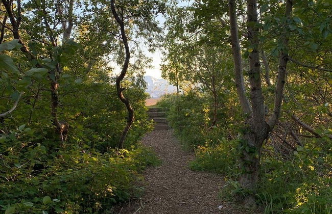 Kaldbaks-kot Cottages - Foto 53