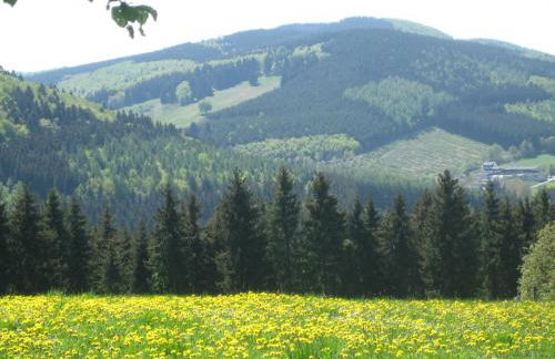 Ferienwohnung Inge Steinrücken - Foto 30