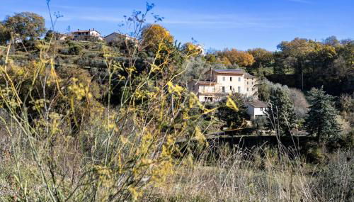 Il Mandorlo - Foto 5