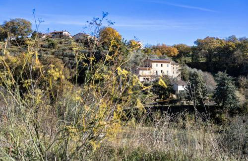 Il Mandorlo - Foto 5