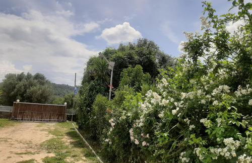 THE MANSION OF DIONISOS AND DIMITRAS - Foto 18