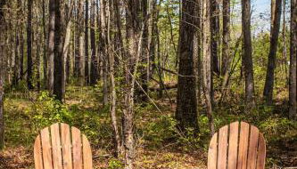 Mt Fether - Tiny Home - Mins to DeSoto, Brow Park - Foto 3