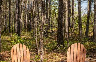 Mt Fether - Tiny Home - Mins to DeSoto, Brow Park - Foto 3