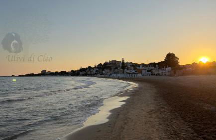 Ulivi di Cleo - Foto 55