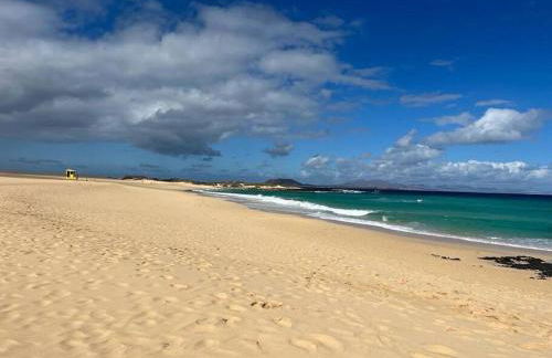 Casa Cactus Paraiso - Photo 36