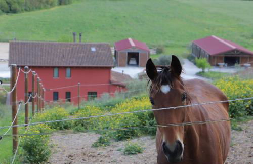 Le Dame Country House, Marche - Foto 11