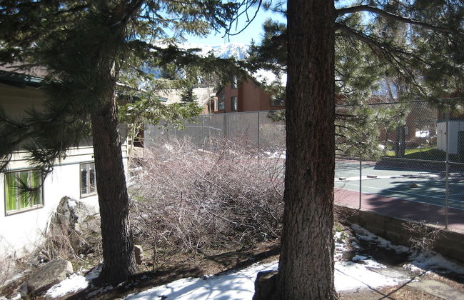 Chateau Sans Nom by Mammoth Reservation Bureau - Foto 57