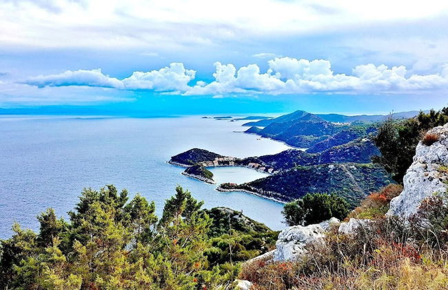 Apartments Marija Lastovo - Photo 24