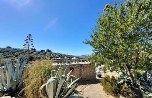 Hacienda La buena vida B&B en appartementen casita la bruja - Foto 21