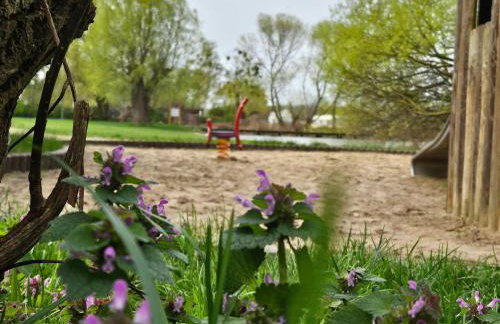 Ferienhaus-Hus-Stine-an-der-Mueritz - Photo 55