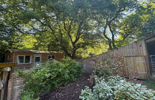 Shepherd’s delight - Foto 9