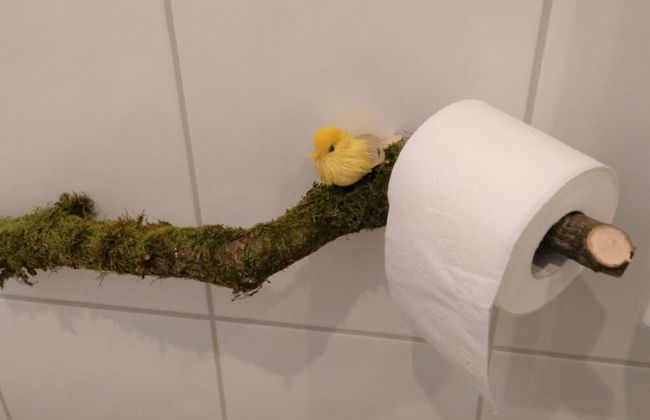 Pine Cones in the Haslehaus - Foto 28