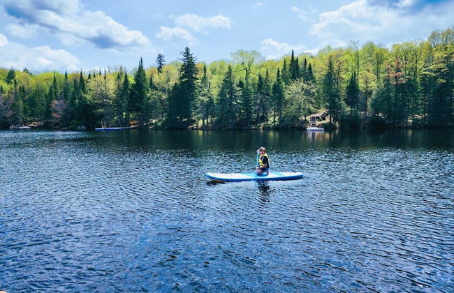 Big Bear Citq 234765 - Foto 29