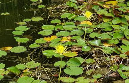 La Maison d'Alys - Le Mistral - Foto 25