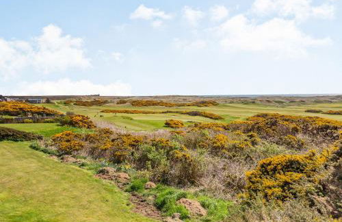 Craigievar - Photo 31