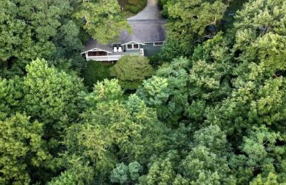 Mountain Mangrove, A Quiet Mountain Retreat - Foto 6