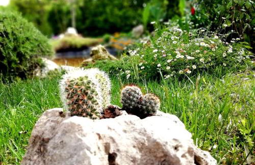 Villetta Dote - Foto 35