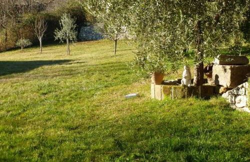 Casa Teodoro - Gelsomino, Ulivi & Orchidea - Foto 33