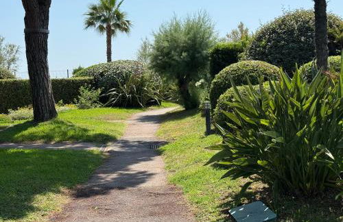 Maradiva Studio - Foto 19